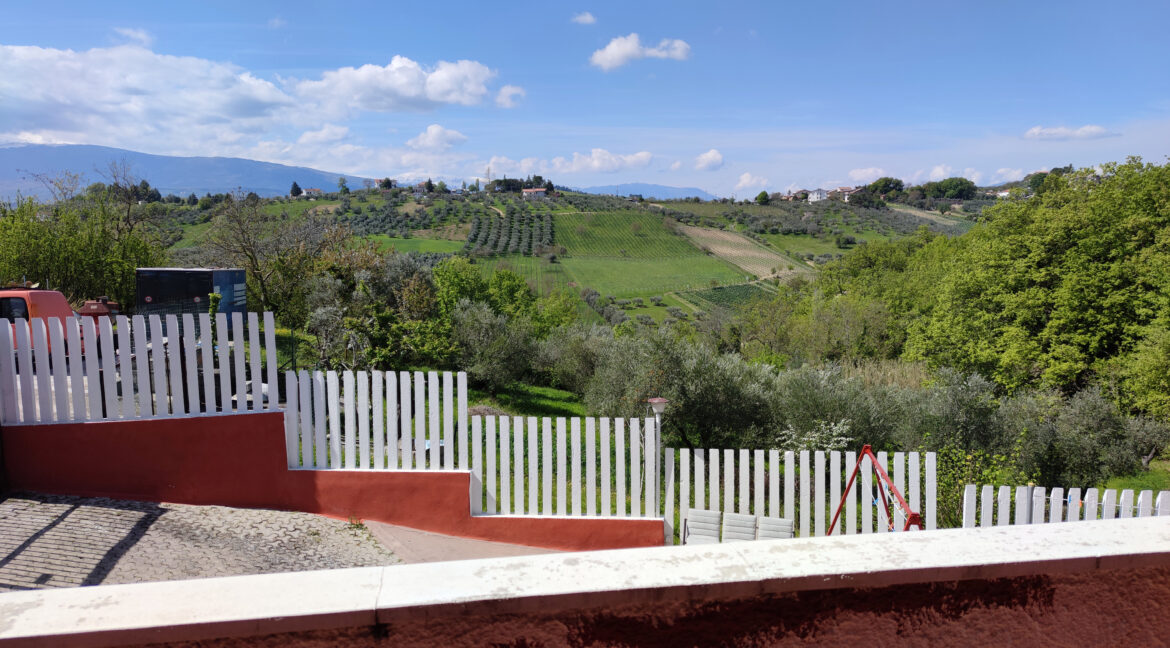 1P panorama