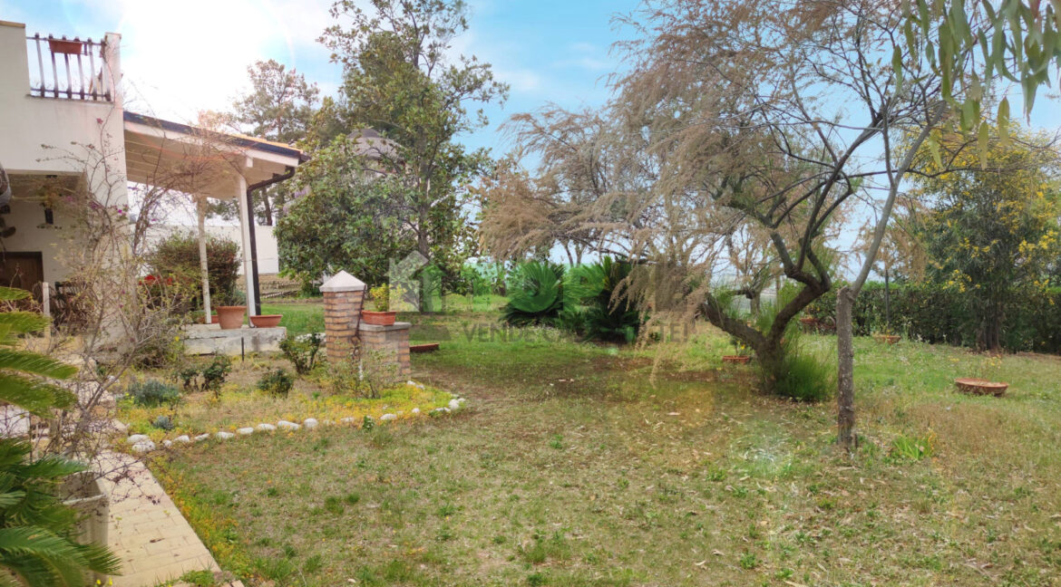 8683391 casale in vendita a Pianella IMG_20240410_131443
