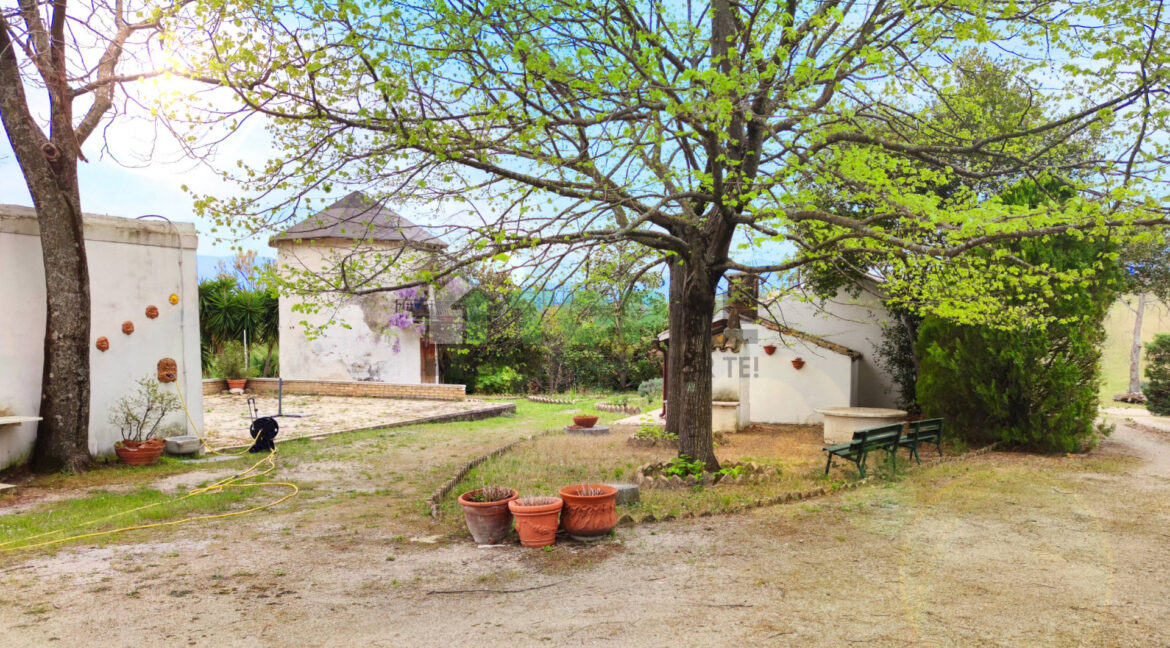8683391 casale in vendita a Pianella IMG_20240410_131443 lens