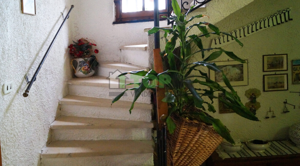 8683391 casale in vendita a Pianella IMG_20240410_13180511