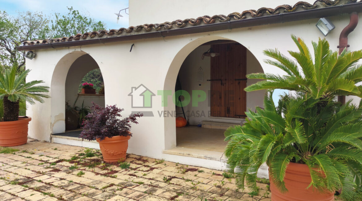 8683391 casale in vendita a Pianella IMG_20240410_131847